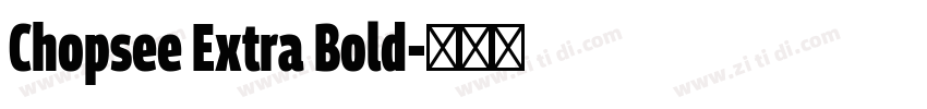 Chopsee Extra Bold字体转换